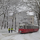 IMG_3090.jpg