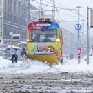 ABD0069-20130117.jpg