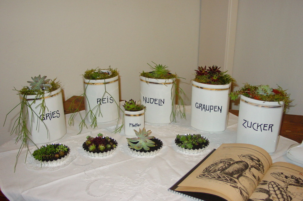 Deko vorpr__fung 008_jpg-1358490831