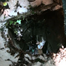 Tierrettung in Wimpassing: Hündin stürzte in tiefen Schacht