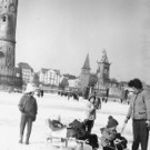 Seegfr__rne5 neu.jpg