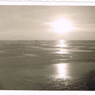 Sc 05031963 Seegfr__rne 3 Sonnenunt_.jpg