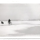 SCANNEN0002.jpg