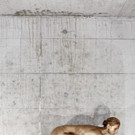 18-01-2013 12-01-17.jpg
