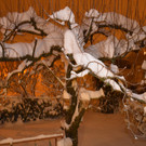 Ehrenamt und Schnee 011_JPG-1358515499