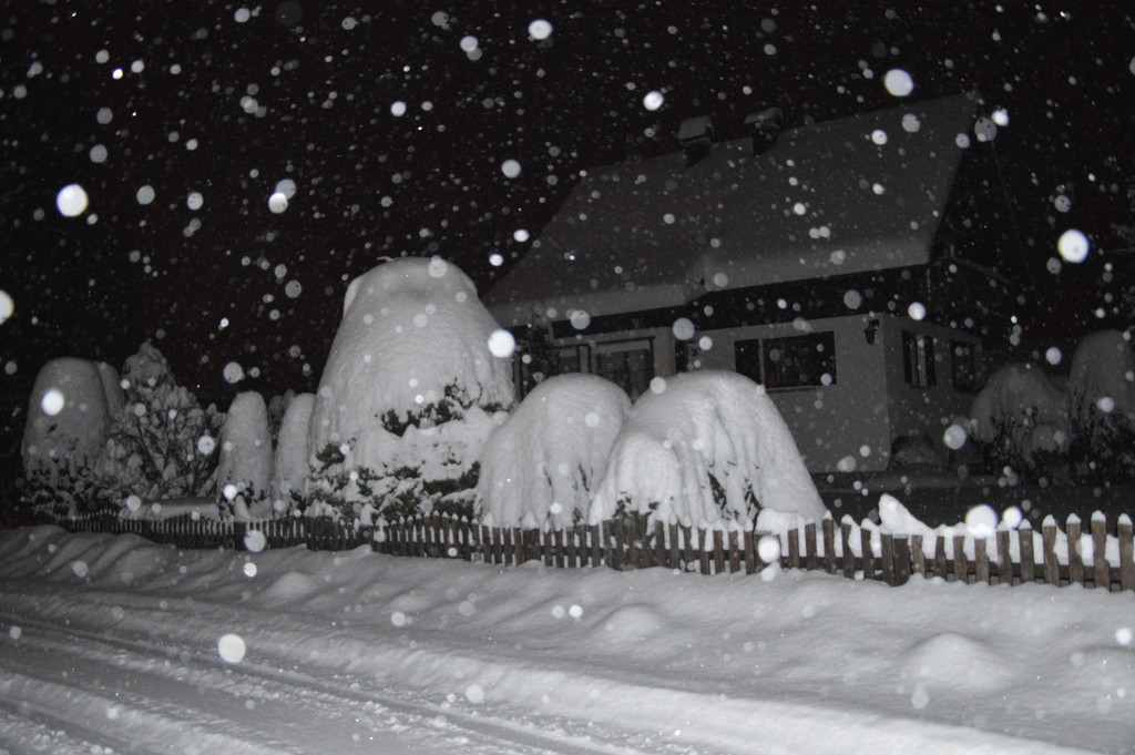 Ehrenamt und Schnee 023_JPG-1358515728