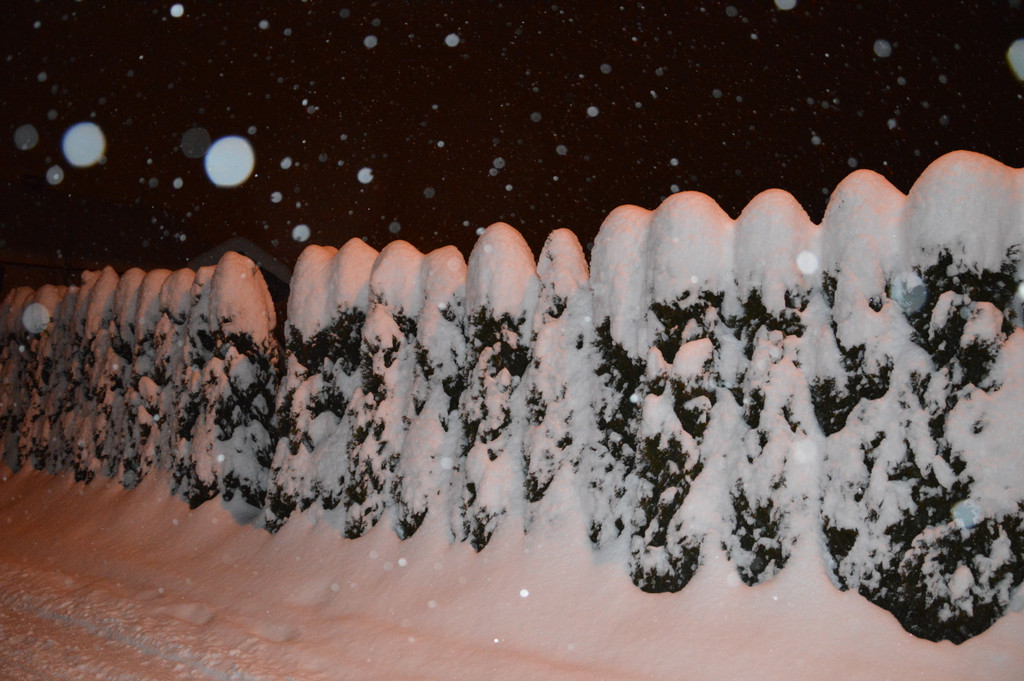 Ehrenamt und Schnee 033_JPG-1358515840