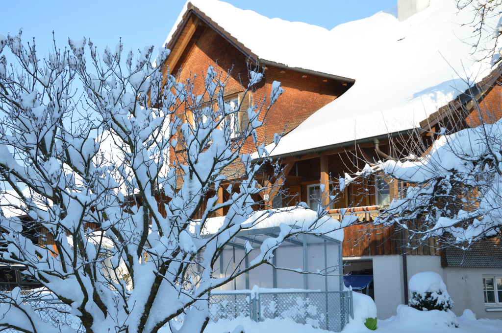 Ehrenamt und Schnee 044_JPG-1358516413