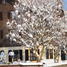 Ehrenamt und Schnee 049_JPG-1358516770