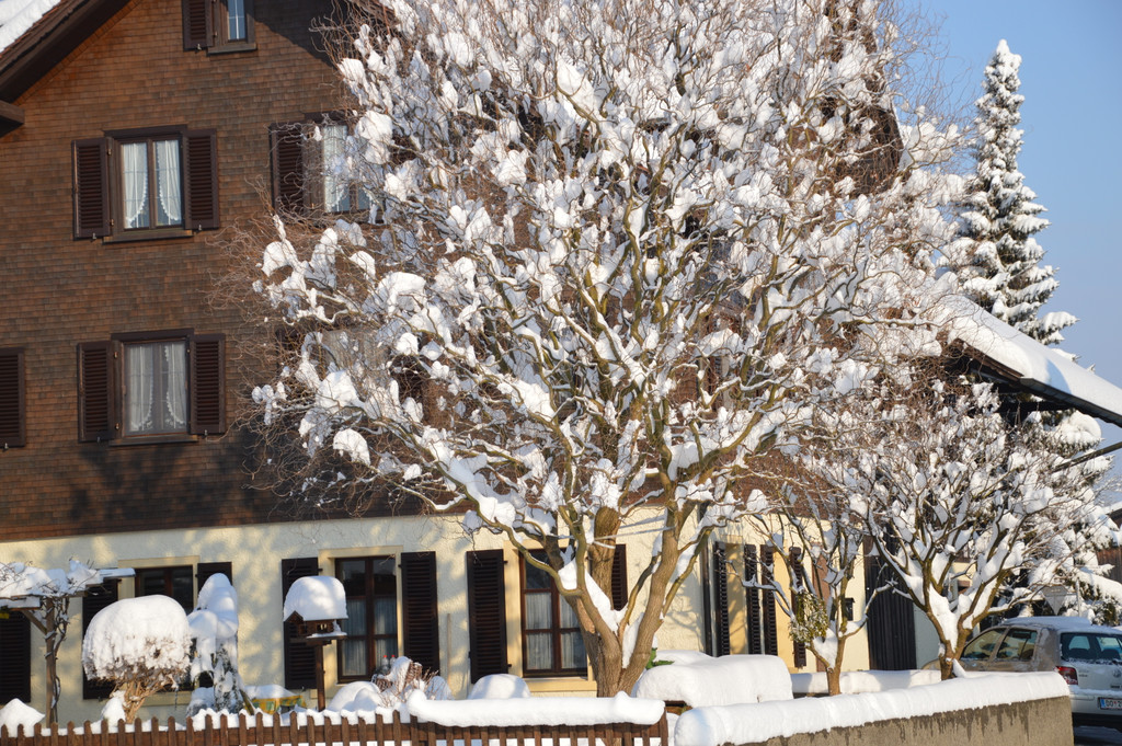 Ehrenamt und Schnee 049_JPG-1358516770