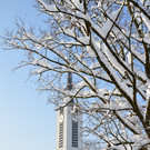 Ehrenamt und Schnee 052_JPG-1358517008