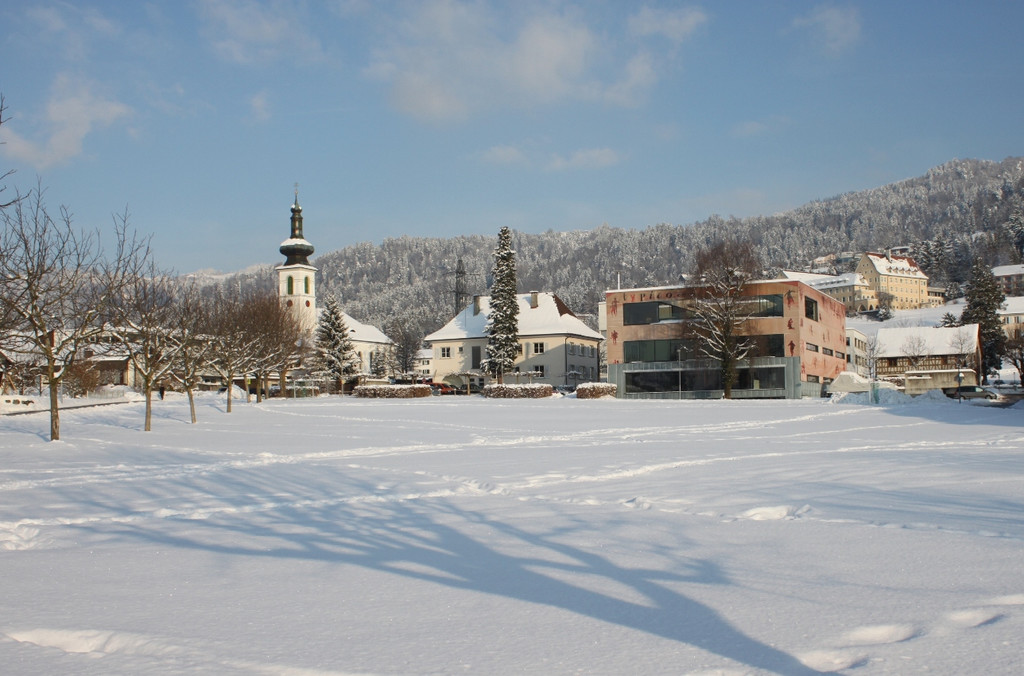 Winterstimmung Lochau 2013 _22__jpg-1358534654
