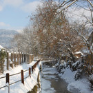 Winterstimmung Lochau 2013 _6__jpg-1358534584
