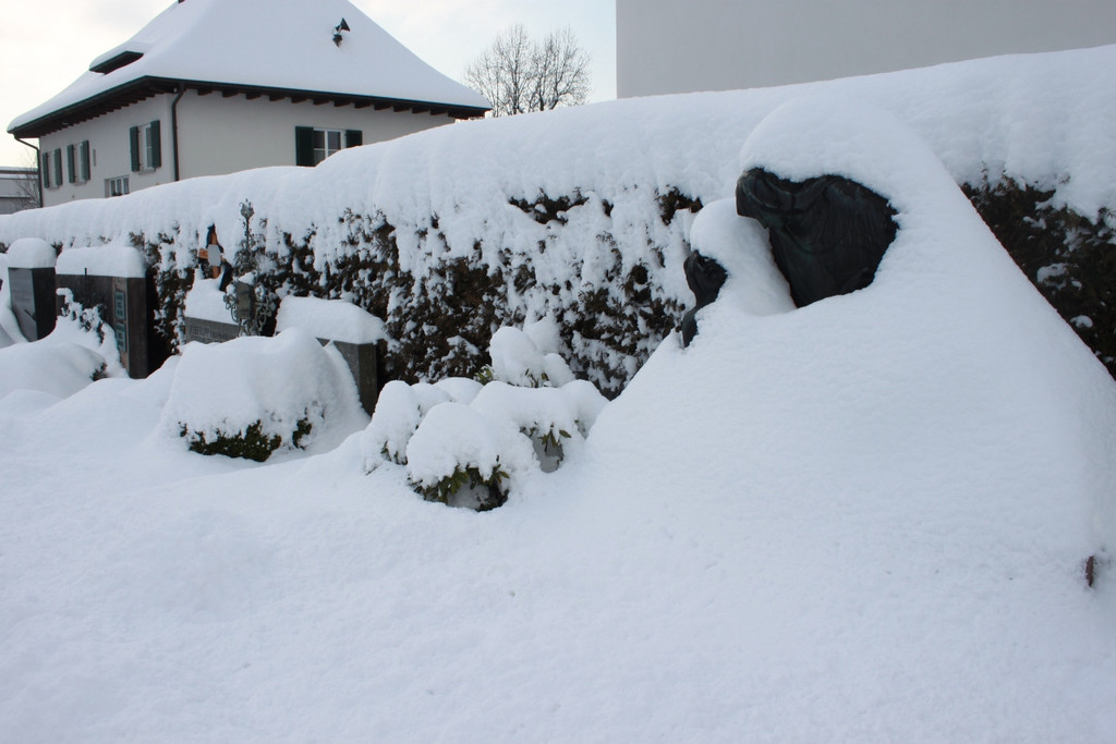 Winterstimmung Lochau 2013 _9__jpg-1358534596