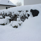 Winterstimmung Lochau 2013 _9__jpg-1358534596
