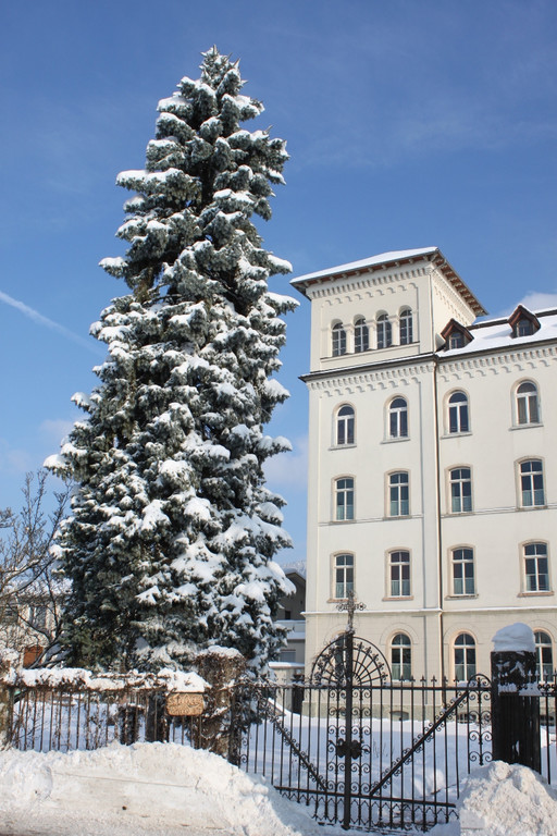 Winterstimmung Lochau 2013 _2__jpg-1358534560
