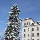Winterstimmung Lochau 2013 _2__jpg-1358534560
