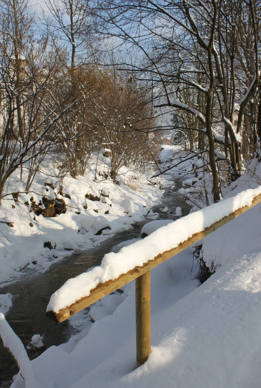 Winterstimmung Lochau 2013 _23__jpg-1358534661