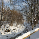 Winterstimmung Lochau 2013 _23__jpg-1358534661