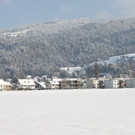 Winterstimmung Lochau 2013 _24__jpg-1358534666