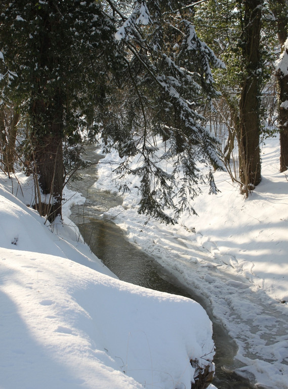 Winterstimmung Lochau 2013 _25__jpg-1358534672