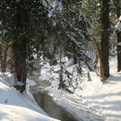 Winterstimmung Lochau 2013 _25__jpg-1358534672