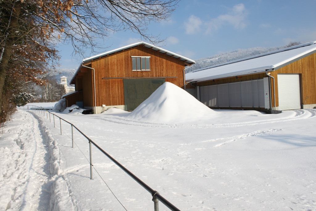 Winterstimmung Lochau 2013 _26__jpg-1358534677