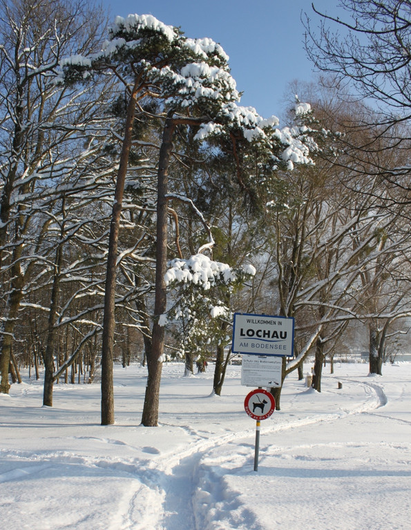 Winterstimmung Lochau 2013 _27__jpg-1358534684