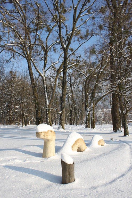 Winterstimmung Lochau 2013 _28__jpg-1358534692