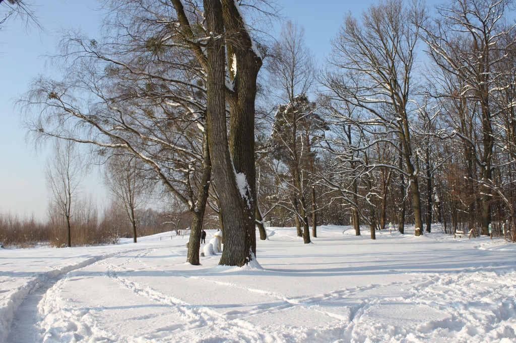 Winterstimmung Lochau 2013 _29__jpg-1358534699
