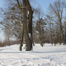 Winterstimmung Lochau 2013 _29__jpg-1358534699