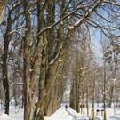 Winterstimmung Lochau 2013 _30__jpg-1358534707