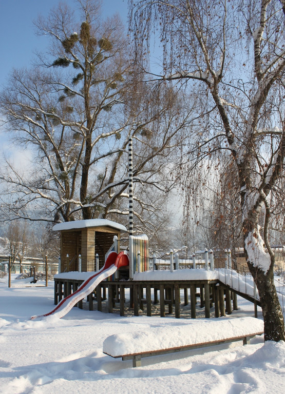 Winterstimmung Lochau 2013 _31__jpg-1358534715