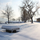 Winterstimmung Lochau 2013 _32__jpg-1358534721