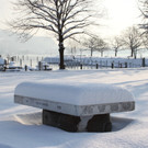 Winterstimmung Lochau 2013 _33__jpg-1358534727