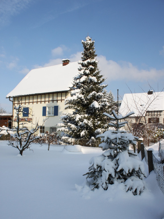 Winterstimmung Lochau 2013 _3__jpg-1358534564