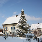Winterstimmung Lochau 2013 _3__jpg-1358534564
