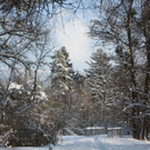 Winterstimmung See Hoerbranz 2013 _6__jpg-1358535414