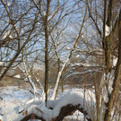 Winterstimmung See Hoerbranz 2013 _17__jpg-1358535494