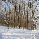 Winterstimmung See Hoerbranz 2013 _15__jpg-1358535479