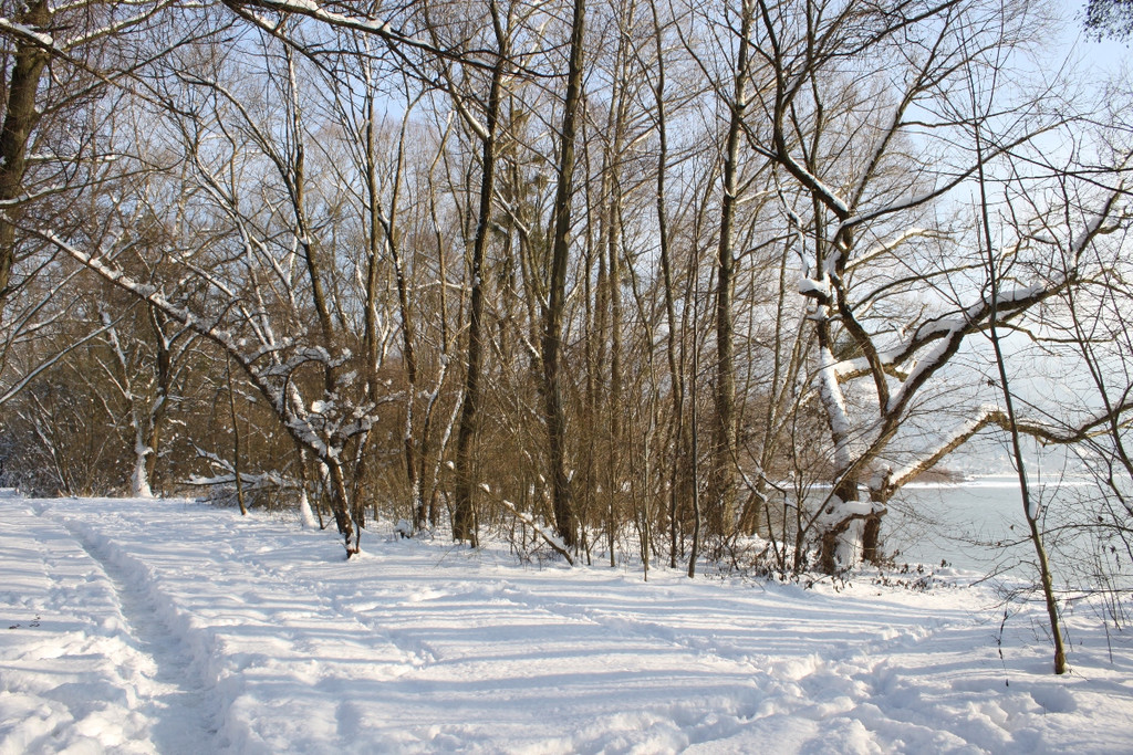 Winterstimmung See Hoerbranz 2013 _15__jpg-1358535479