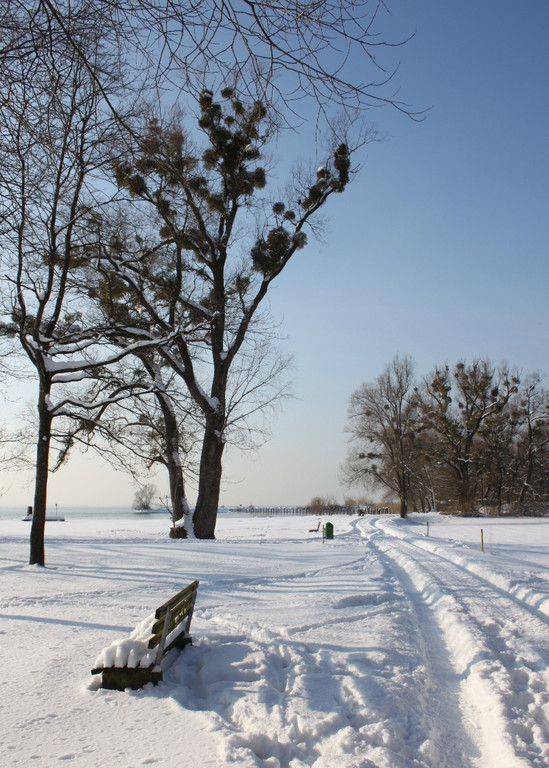 Winterstimmung See Hoerbranz 2013 _19__jpg-1358535507