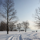 Winterstimmung See Hoerbranz 2013 _21__jpg-1358535519