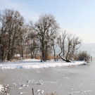 Winterstimmung See Hoerbranz 2013 _25__jpg-1358535546