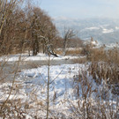 Winterstimmung See Hoerbranz 2013 _3__jpg-1358535395