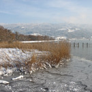 Winterstimmung See Hoerbranz 2013 _27__jpg-1358535555