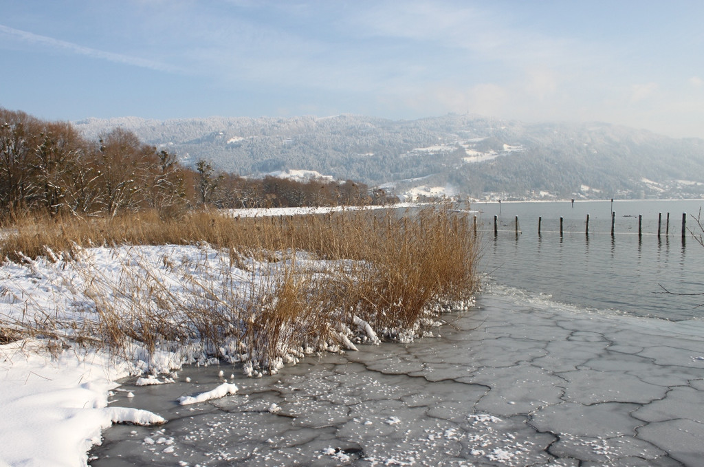 Winterstimmung See Hoerbranz 2013 _27__jpg-1358535555