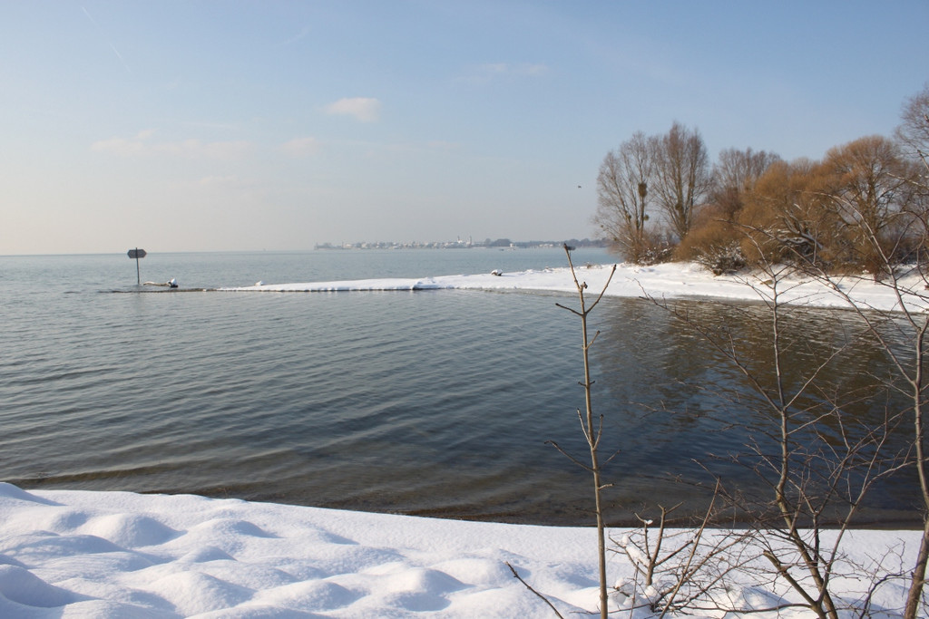 Winterstimmung See Hoerbranz 2013 _26__jpg-1358535550