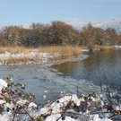 Winterstimmung See Hoerbranz 2013 _28__jpg-1358535562