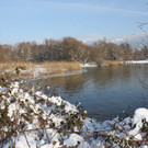 Winterstimmung See Hoerbranz 2013 _29__jpg-1358535568